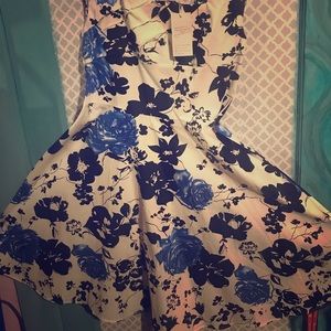 White, Black an Blue Rose Vintage Sleeveless Dress